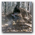 [Click to enlarge image]